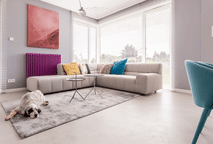 Câmera para casa: vigie cães e gatos em tempo real