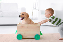 Câmera IP residencial: tecnologia e modernidade para proteger sua casa