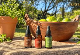 Própolis Vermelho x Verde x Marrom: diferenças e qual o melhor
