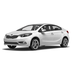 Cerato Cerato
