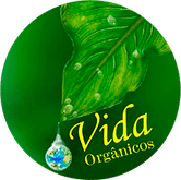 Salada higienizada alface + azedinha (150g)