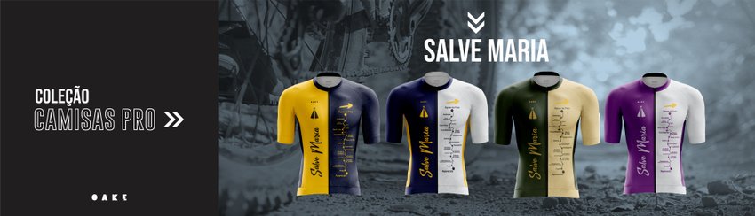 Banner Coleção Salve Maria