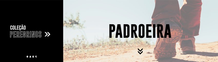 Banner Padroeira