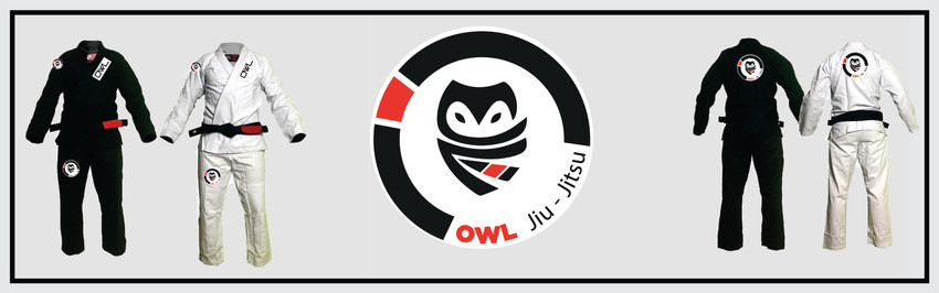 Banner OWL TEAM
