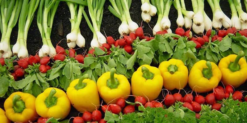 Banner AS CORES DOS ALIMENTOS