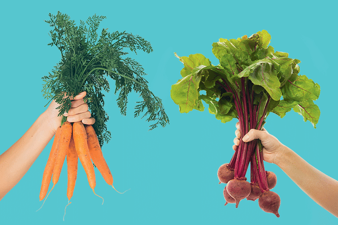 Banner FOLHAS DE BETERRABA, CENOURA...