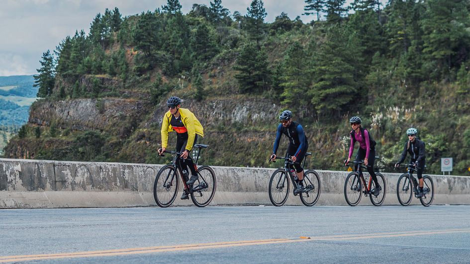 Banner Comparativo: Linhas Free Force - Qual a Ideal para Você?