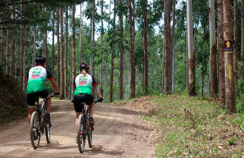 Banner Camisa de Cicloturismo: Conforto e Praticidade para Longas Jornadas