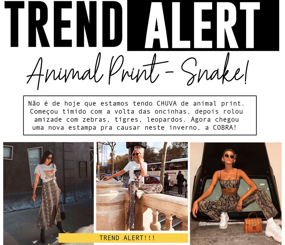 Banner TREND ALERT - Snake Print