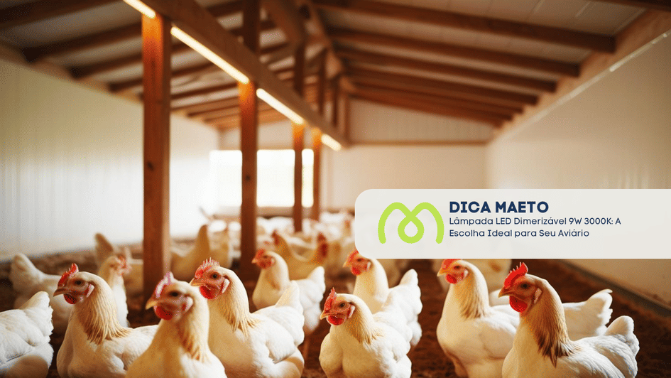 Banner Lâmpada LED Dimerizável 9W 3000K: A Escolha Ideal para Seu Aviário