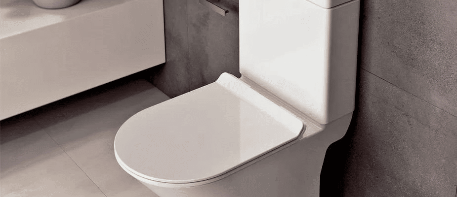 Banner Vaso Sanitário Liss Branco Com Caixa Acoplada