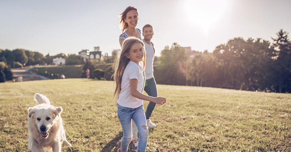 Banner Quanto se economiza com energia solar no verão