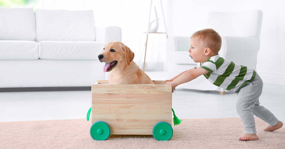 Banner Câmera IP residencial: tecnologia e modernidade para proteger sua casa