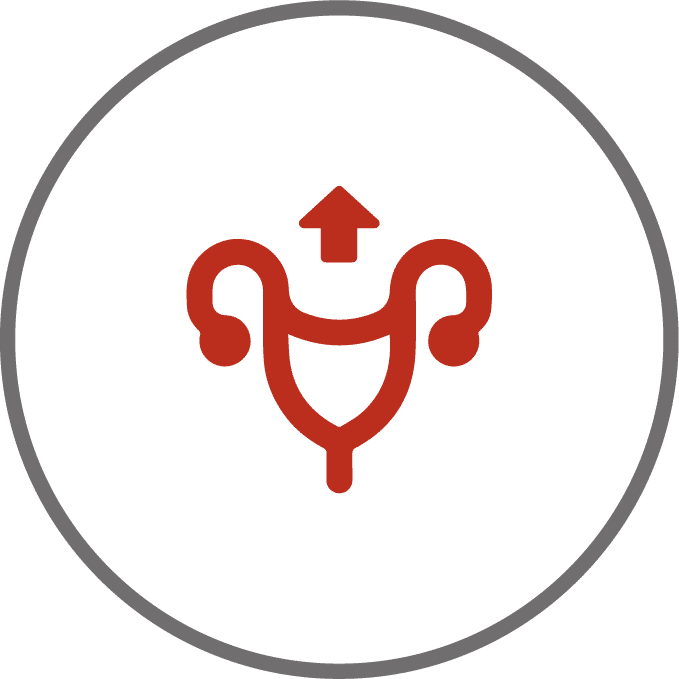 Ícone