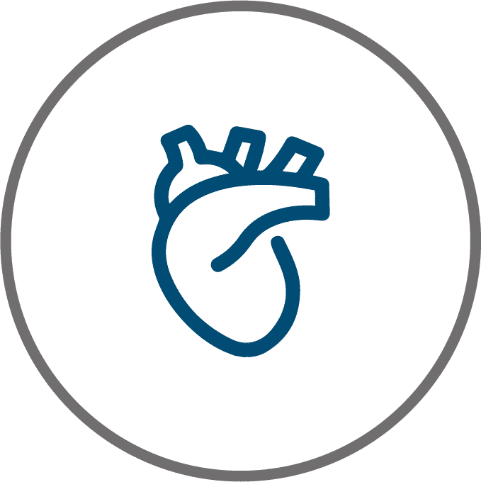 Ícone