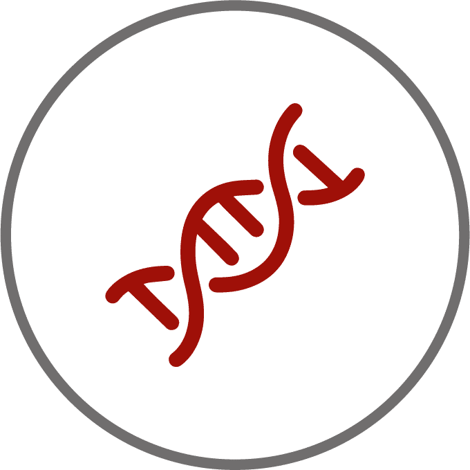 Ícone