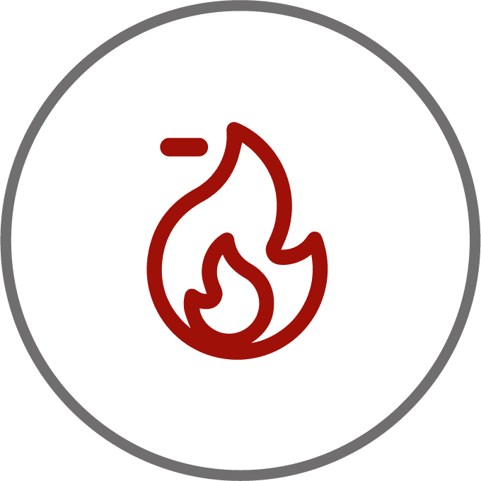 Ícone