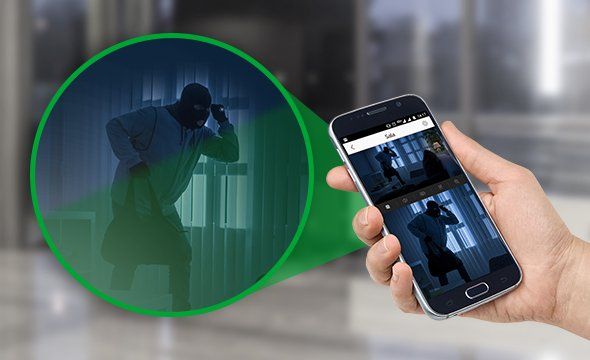 IVP 8000 PET CAM - Identificação