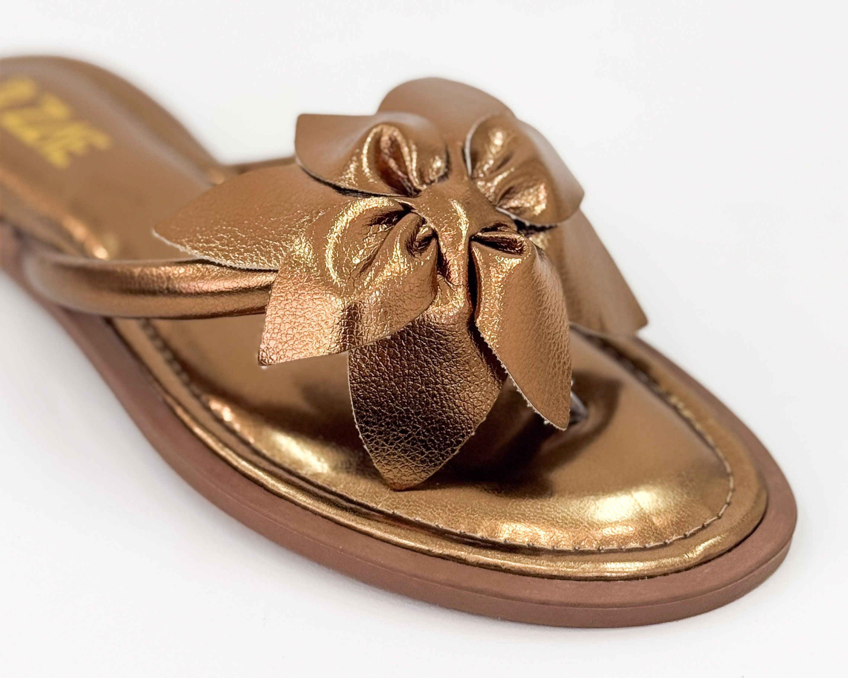 Chinelo Dani Bronze