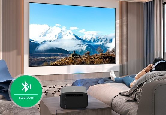 PFL6430 - Bluetooth